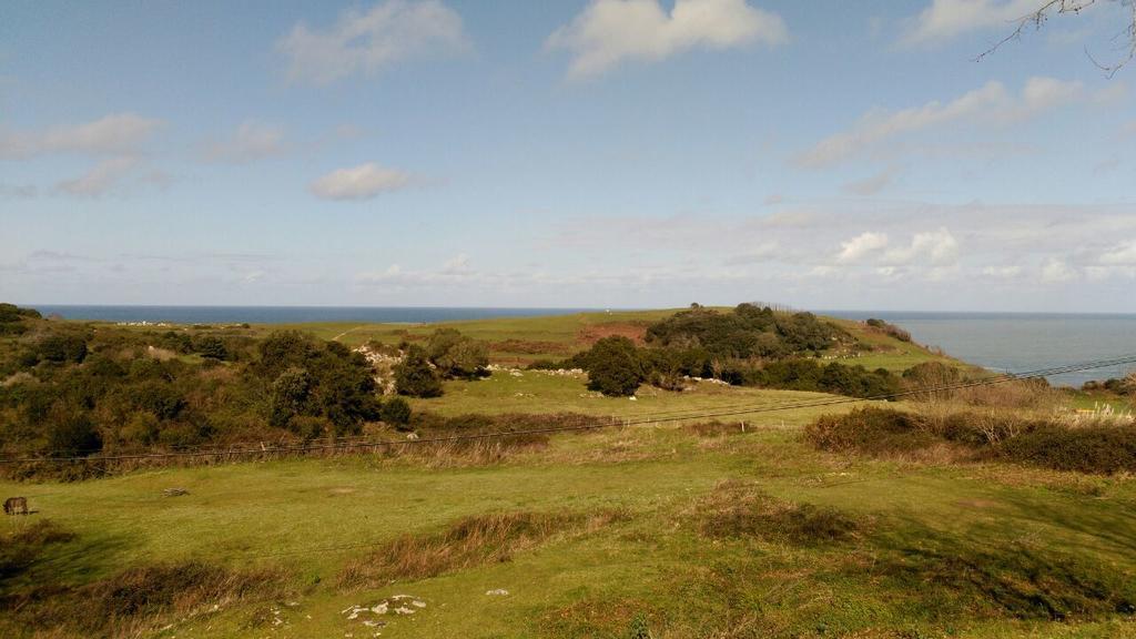 La Espina De 2* Pechón